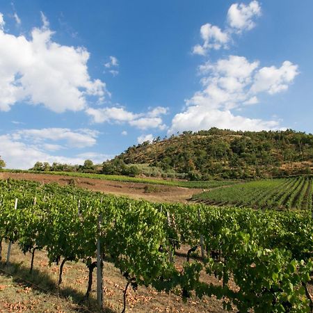 Villa Rosano Greve in Chianti Exteriör bild
